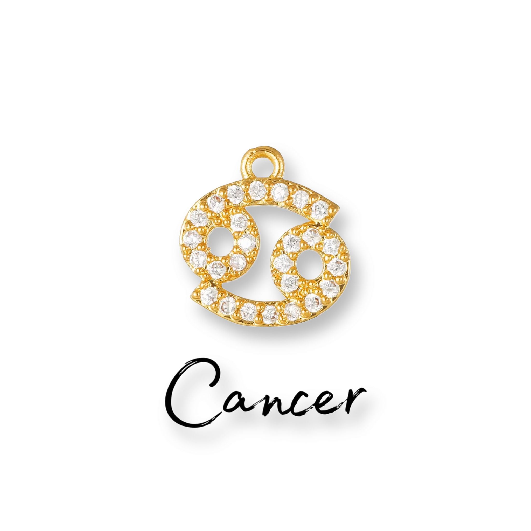 ZIRCON DIERENTUIN CHARM