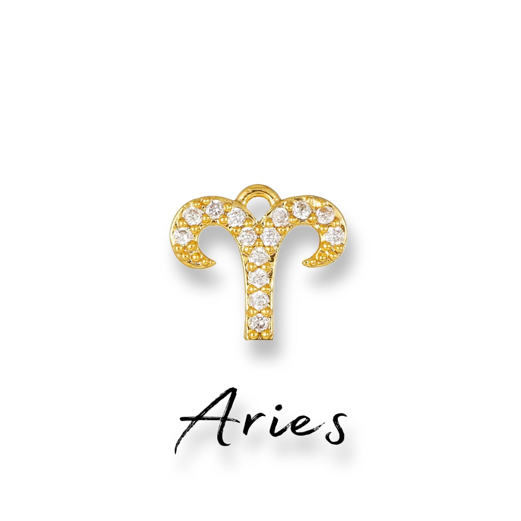 ZIRCON DIERENTUIN CHARM