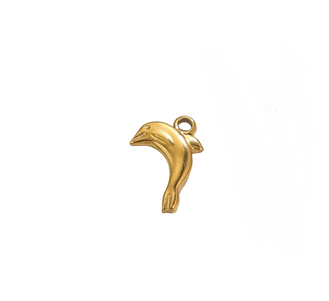 DOLPHIN CHARM