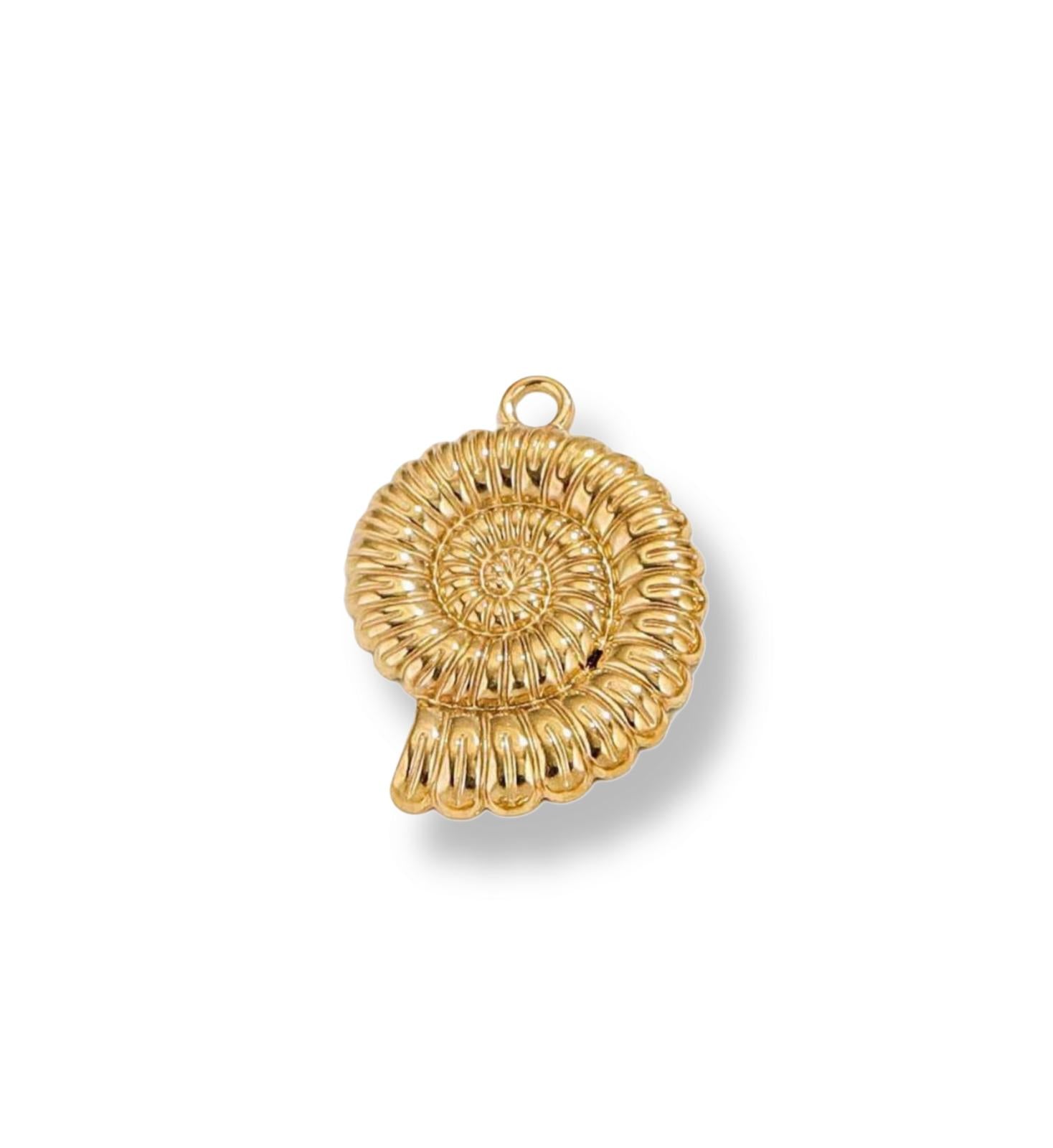 GROTE FOSSIELE CHARME