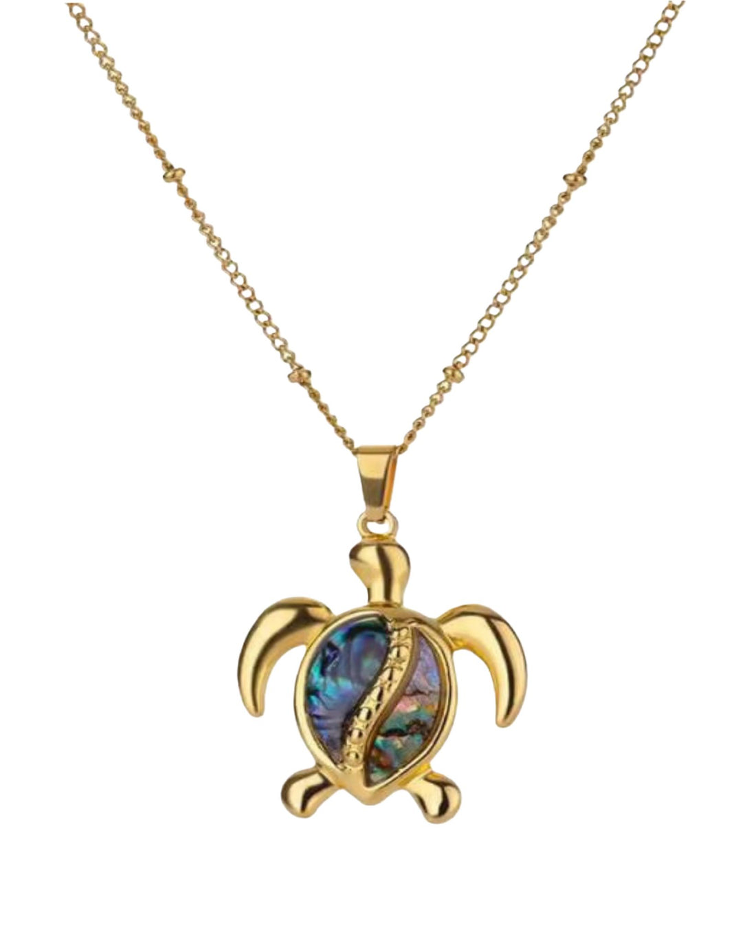 SHELL TURTLE CHARM NECKLACE