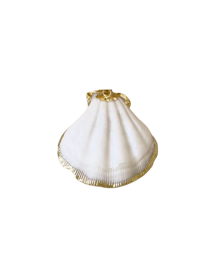 WHITE SHELL CHARM