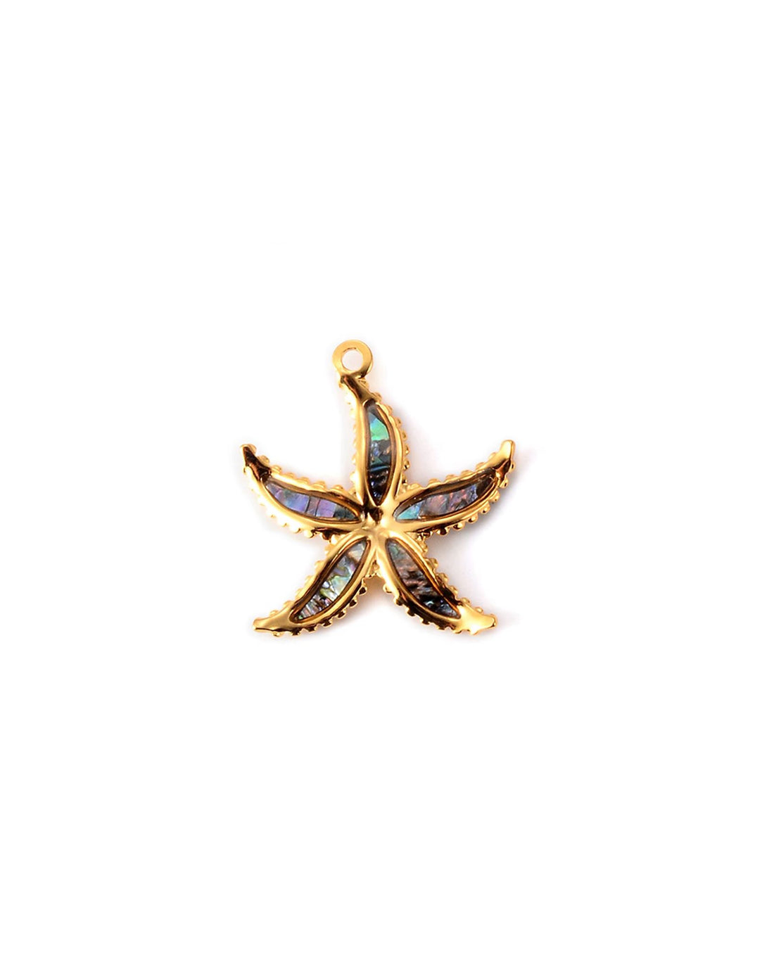 CC SHELL STARFISH