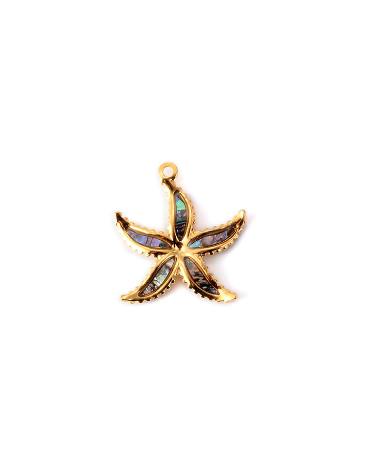 CC SHELL STARFISH