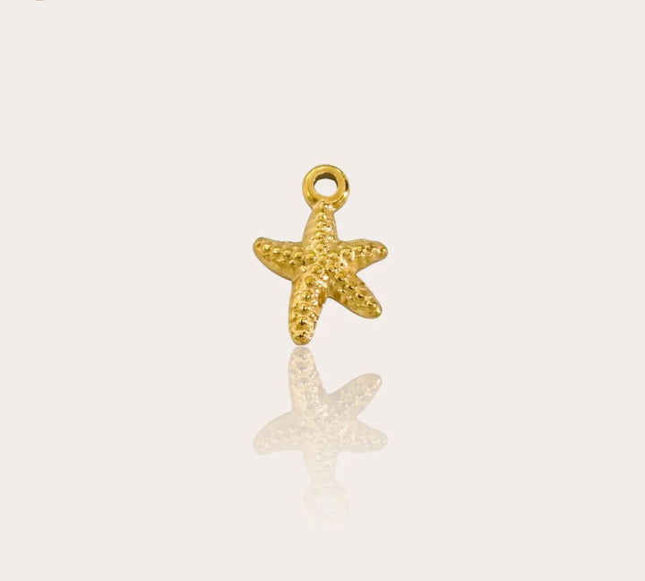 STARFISH CHARM
